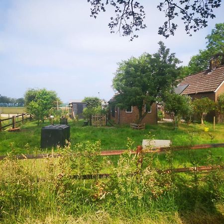Trekkershut - Tiny House - Hikers Cottage Wijster Exterior photo
